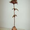 Copper Art Rose and Butterfly