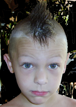 "Decieved by the Barber"